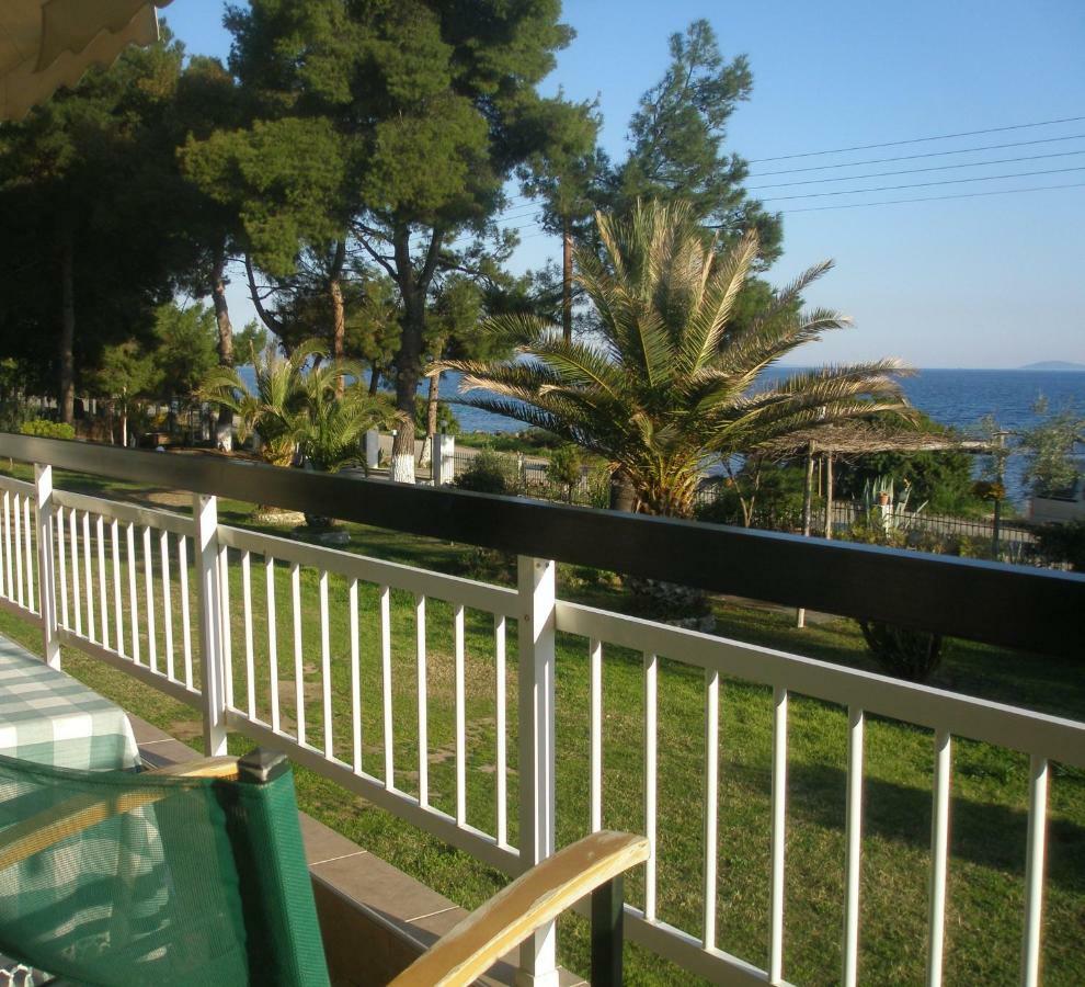 Metamorphosis - Halkidiki On The Appartement Metamorfosi (Sithonia)